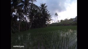Лучшие Камеры для FPV Дронов