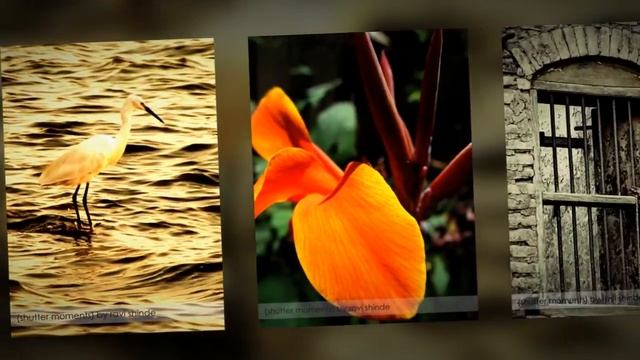 Canon SX150 IS Sample Images смотреть онлайн