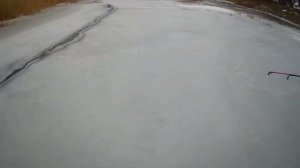 Ловля щуки. Щука на балансир. В феврале.