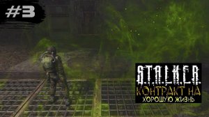 В ЗОНЕ ОРУДУЕТ ВИРУС - STALKER: Контракт на хорошую жизнь ►3
