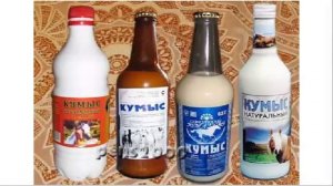 ЧТО ТАКОЕ КУМЫС?