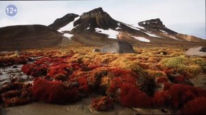 Вечерняя Арктика #4: ТОП 10 мест для путешествий в русской Арктике