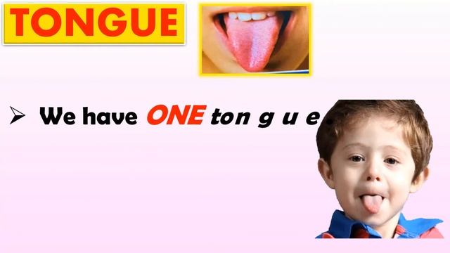 OUR BODY-CLASS 2 | External Organs, Internal Organs and Sense Organs | SCIENCE | EVS смотреть онлайн