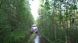 Дорога на Верхнее Пигмозеро