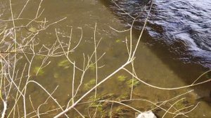 Очки с поляризации ей , проверка на речке