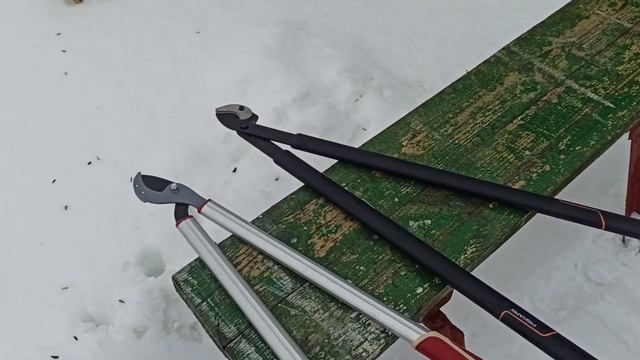 Сучкорез Mr Logo 3660A & Fiskars L 39. Обзор, протэстим, бюджетный инструмент против брендового. смотреть онлайн