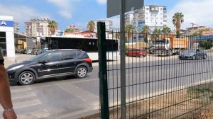 Как переходить дорогу в Турции на пешеходном переходе