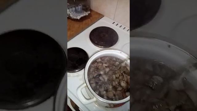 Икра из грибов смотреть онлайн