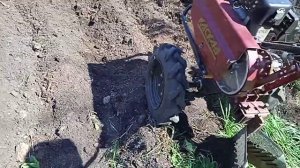 15 мая 2021 г.Посадка картофеля под окучник мотоблоком!