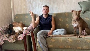 Как себя чувствует джек рассел после замеса / Напряженное знакомство с черным питбулем