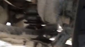 Baw fenix 1044 Установил пневмоподушки (пневморессоры)