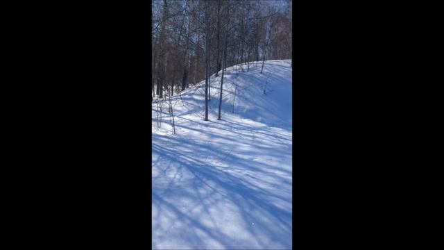 Завершающие покатушки на мотособаке 2017 смотреть онлайн