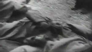 ОБОРОНА БРЕСТА 1941