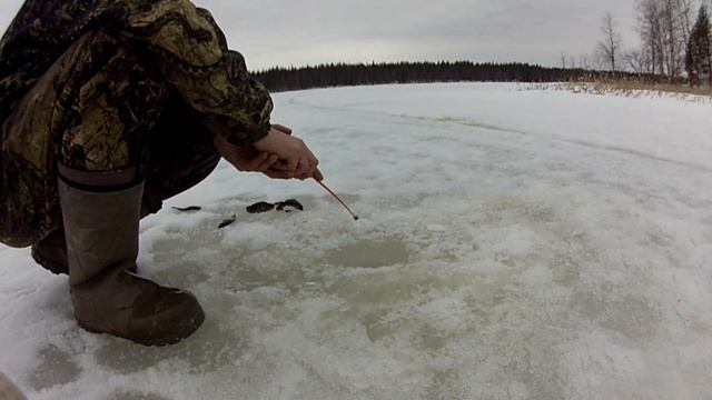 Рыбалка удалась смотреть онлайн