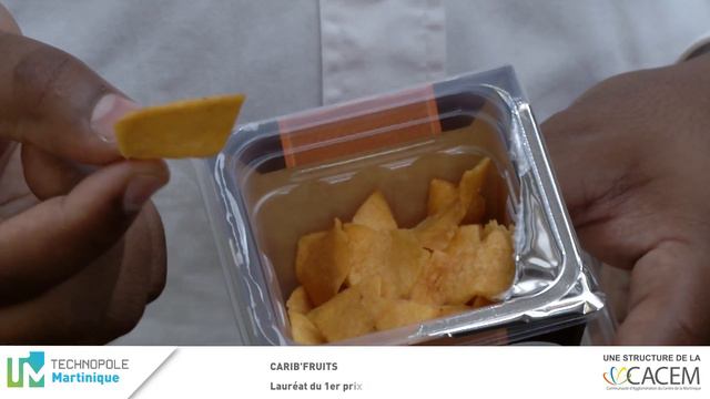 Carib’Fruits : lauréat du 1er Grand Prix de l’Innovation Madin Expo 2016 смотреть онлайн
