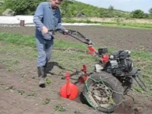 Окучивыние картофеля задним ходом