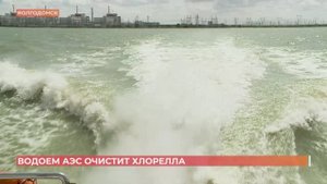 Хлорэлла очистит водоем-охладитель Ростовской АЭС от сине-зелёных водорослей
