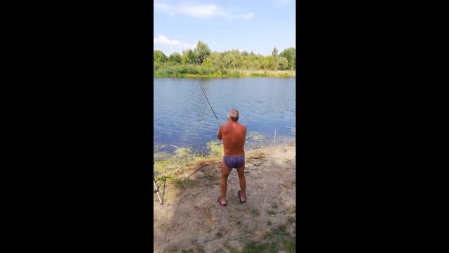 Припять. Качановичи. Сазан 13.5 кг. Лещ . 25.08.2022. смотреть онлайн