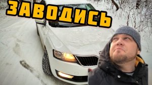 Skoda rapid. Запуск турбомотора на масле лукойл в мороз.