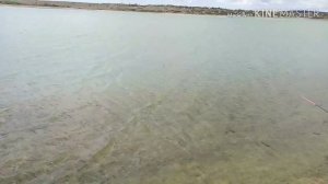 Рыбалка на Тайгане