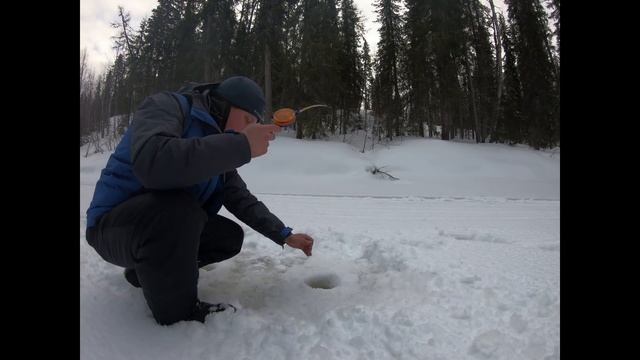 Рыбалка Хариус 2020 март. Сумасшедший клев !. Крупный хариус! МОРМЫШКИ ОГОНЬ! смотреть онлайн