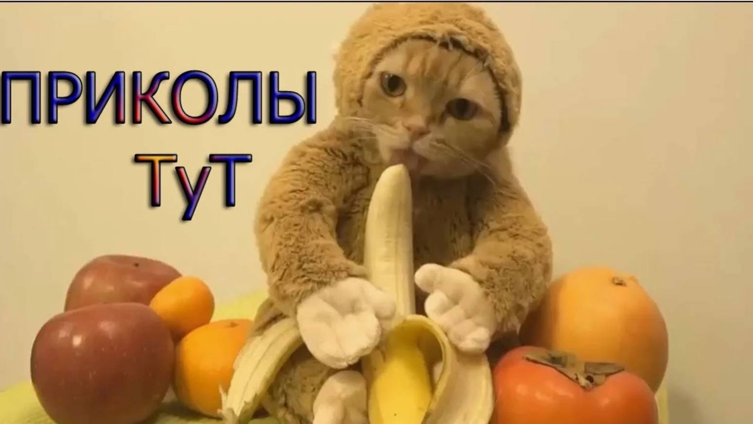 подборка улетных приколов 2024😁 😆 😅 😂