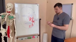 Тренажер для мышц лица своими руками. Омоложение на 20 лет за 2 минуты. Увеличение красоты на 300%