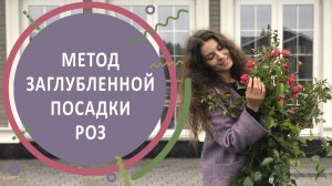 Метод заглубленной посадки роз| Розы в саду