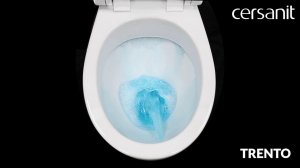 Унитаз-компакт TRENTO - 100% смыв и омывание и тест на выплеск
