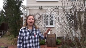 НОЯБРЬ НА САДОВОМ УЧАСТКЕ, НЕ ПРОПУСТИТЕ САМОЕ ГЛАВНОЕ! КОГДА УКРЫВАТЬ РАСТЕНИЯ НА ЗИМУ 2021