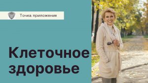 Как "не слить" витамины?