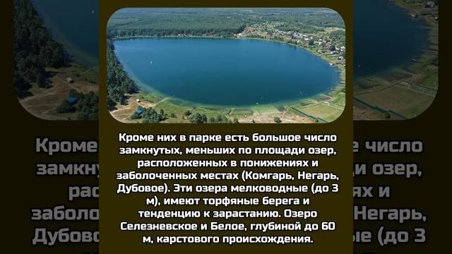 Уникальный Мещерский заповедник (Мещера) #мещера #рязань #владимир #природароссии