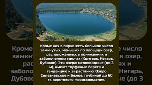 Уникальный Мещерский заповедник (Мещера) #мещера #рязань #владимир #природароссии