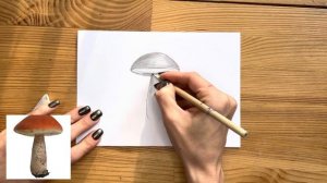 Как нарисовать гриб карандашом | Рисунок и схема для начинающих поэтапно