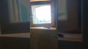 Баня каркасная 4,8*4,5 м