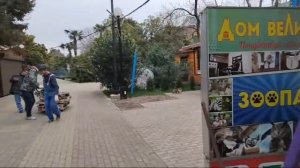 Лазаревское Зимой