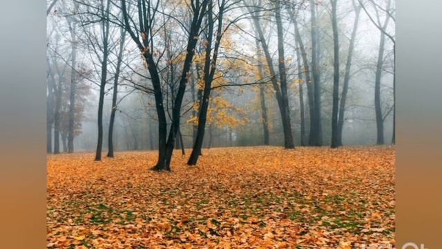 Розвиток мовлення "Пори року. Осінь"  Молодший вік