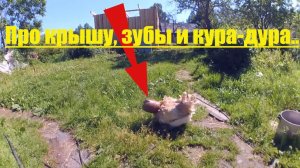 Про крышу, зубы, куру - дуру и Бука // Деревенские дороги // Жизнь в деревне