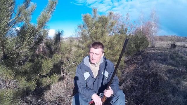 Обзор ружья ИЖК