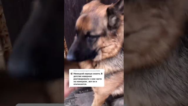 21 ноября 2021 г. смотреть онлайн