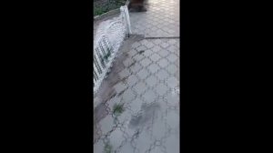 Мазда Трибьют. Замена антифриза.Чистка системы