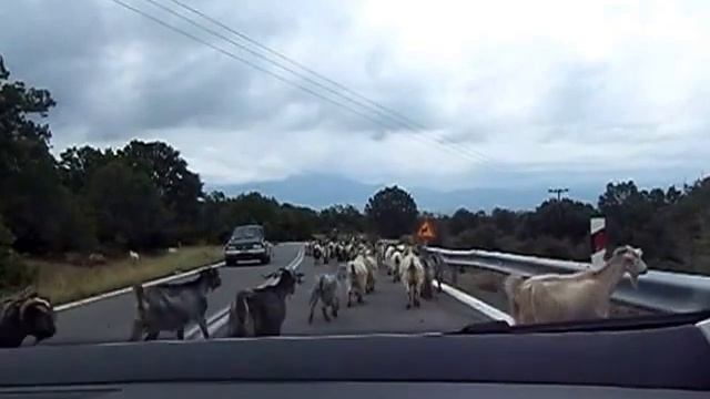 Дороги Греции: встреча со стадом коз смотреть онлайн