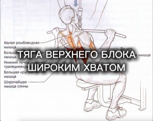 Тяга верхнего блока. Техника выполнения упражнения