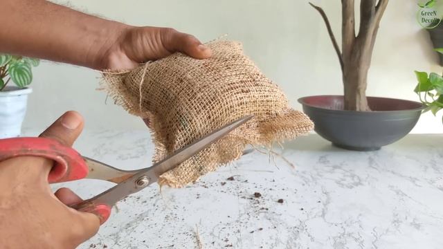 How to Grow Inch Plant Like a Tree Style for Indoor Table top Decoration- Plants Decor//GREEN PLANT смотреть онлайн