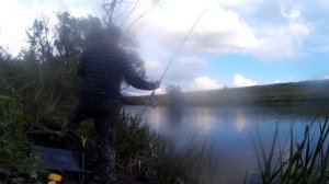 Классный клёв леща на Дону в Липецкой области. Ловля на фидер.