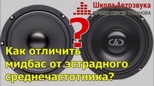 Как отличить мидбасовый динамик от эстрадного среднечастотника?