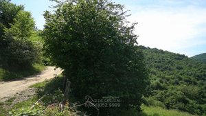 Село Лища | Кайтагский район