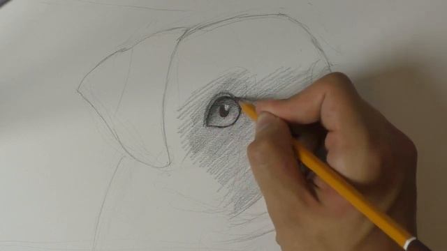 Урок рисования - Портрет питомца. Мопс смотреть онлайн