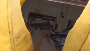 Вылов Рыбы В Промышленных Масштабах