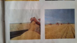 Усадьба Половцева в ХХ и сейчас. Агрофирма "Рапти."